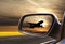 Road in rearview mirror
