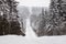 A road receding into the distance, laid in the middle of a coniferous forest, littered with snow