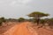 Road with red soil, landscape in Afrika