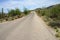 Road Rincon mountains Sonora Desert Arizona