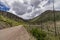 Road Through A Rocky Mountain Forest Destroyed By Wild Fire