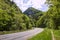 Road in rocky mountains in summer in full green. Beautiful mountain curved roadway, trees with lush green foliage and overcast sky