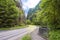 Road in rocky mountains in summer in full green. Beautiful mountain curved roadway, trees with lush green foliage and overcast sky
