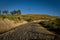 Road in the ruins of Cochasqui, archaeological