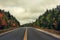 The road running among the mountains overgrown with autumnal bright forest and dramatic sky.White Mountain National Park. USA. New