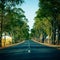 Road Running Through Trees Alley