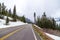 Road Running Through A Wintery Forest 