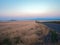 A road runs through the wheat fields at dusk in rural Idaho