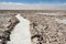 Road at Salar de Atacama, the largest salt flat in Chile Desert of the Atacama, Chile