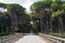 Road through San Rossore Regional Park, Italy