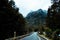 Road among the scene of the green nature and ford land at Milford Sound, New Zealand I