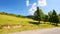 road through scenic carpathian countryside