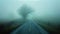 The road seems to disappear into a surreal and ethereal mist beckoning you towards a mysterious and otherworldly