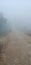 Road seen with cover in fog and smoke