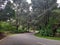 Road set amidst lush green hills