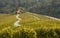 Road in a shape of a heart, Maribor, Slovenia