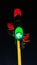 Road side signal green light