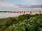 ROAD SIDE TREES,A RIVER,A BRIDGE, ELECTRIC  POLE