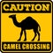 Road sign - Attention Animal, Camels Crossing.