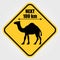 Road sign - Attention Animal, Camels Crossing. Vector illustration