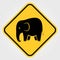 Road sign - Attention Animal, Elephant Crossing. Vector illustration