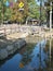 Road sign of Beware of Deers at Nara Park