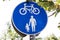 Road sign for bikes and pedestrians. Blue round traffic sign for safety.
