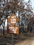 Road sign after bushfire