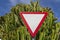 Road sign and a cactus in la gomera