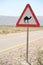 Road sign with camel