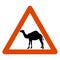 Road sign, camel crossing the road, vector