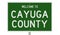 Road sign for Cayuga County