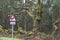 Road sign of dangerous curves  near a forest in Galicia Spain