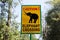 Road sign elephant crossing