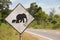 Road sign in Sri Lanka. Caution, elephants crossing the road.