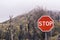 Road sign stop emblem protest against deforestation