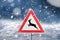 Road sign wild crossing in winter