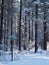 Road signs covered in snow