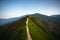 Road on spine and the top of the mountains covered with greenery with gentle valleys at dawn