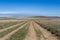 Road in the steppe