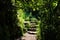 Road and stone stairs in magical and mysterious dark forest. Fairy tale concept