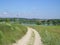 Road summer field greens water