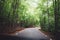 Road at summer green forest nature, breath of fresh clean air in trip, relax holiday concept, blurred plant background, landscape