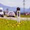 Road in the summer: reflector post, cars, flowers and green grass