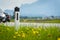 Road in the summer: reflector post, cars, flowers and green grass