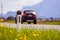 Road in the summer: reflector post, cars, flowers and green grass