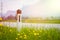 Road in the summer: reflector post, flowers and green grass