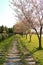 A road surrounded by grass