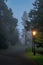 Road surrounded by trees and illuminated by vintage street lamps in Farmleigh Phoenix Park. Moody, Ireland