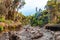 Road surrounded by trees and plants in the volcanic areas near Kilimanjaro mountain in Tanzania